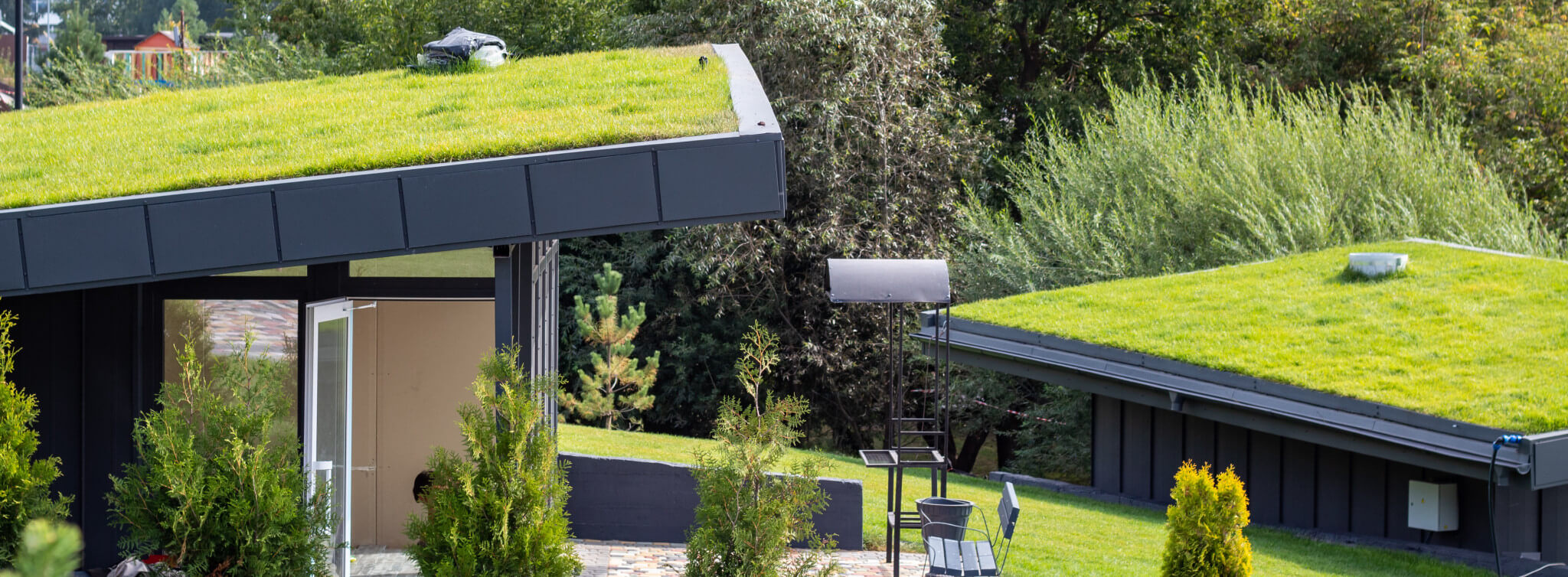 green rooftops