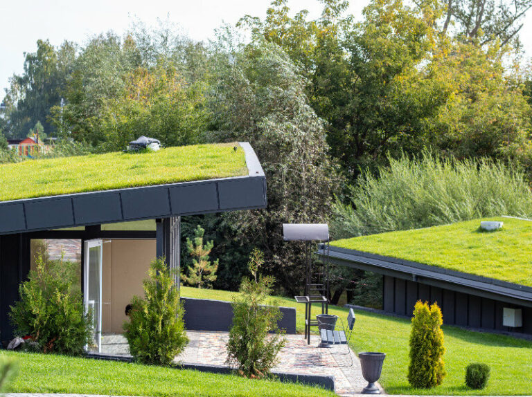 green rooftops